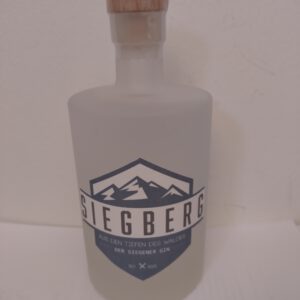 Flasche Gin